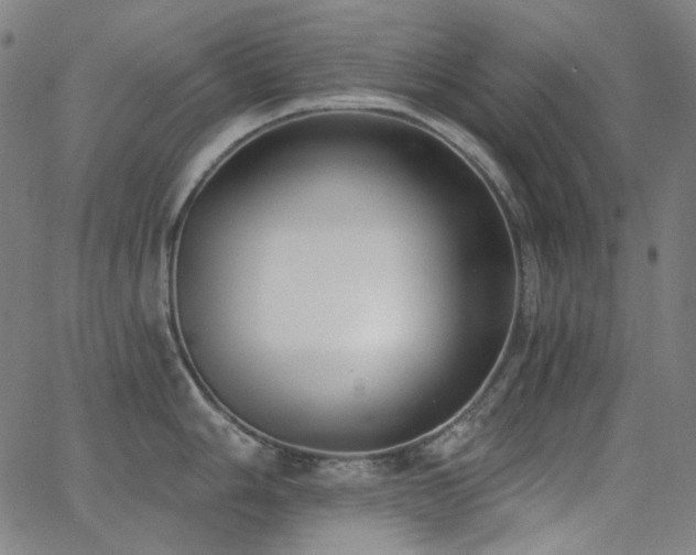 X0000062861006200601131410