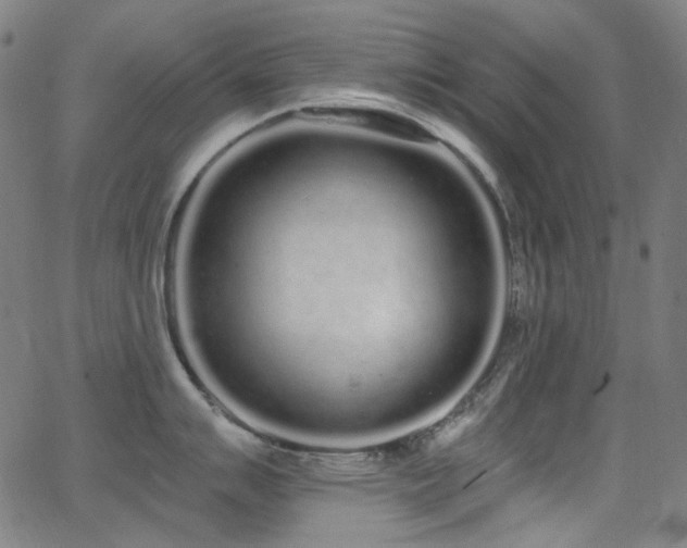 X0000062861007200601131410