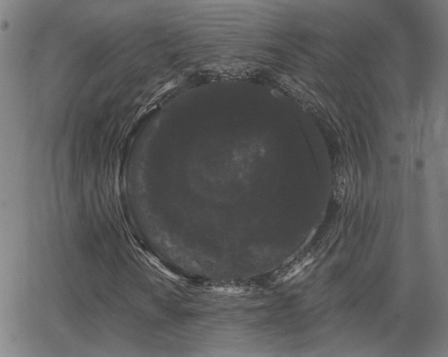 X0000062861010200601131410