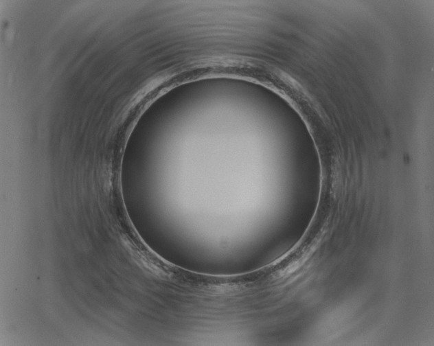 X0000062861017200601131410