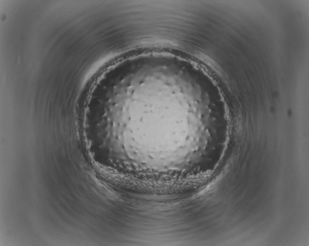 X0000062861022200601131410