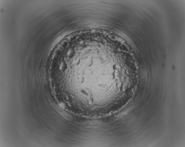 X0000062861023200601131410
