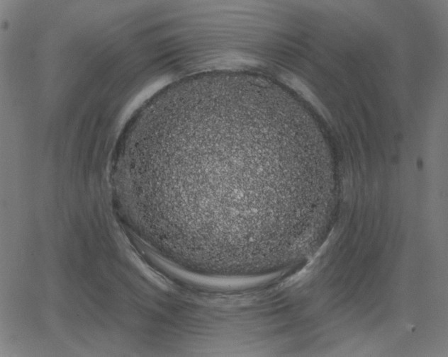 X0000062861026200601131410