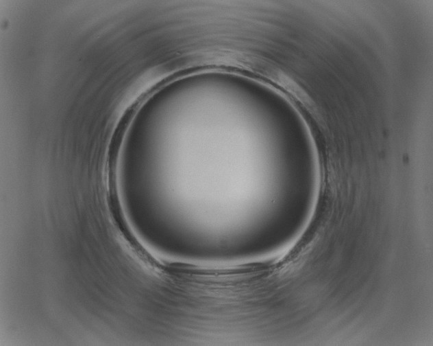 X0000062861028200601131410
