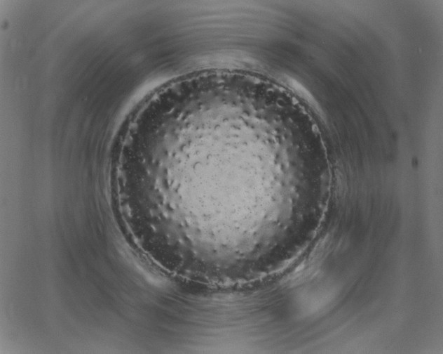X0000062861035200601131410