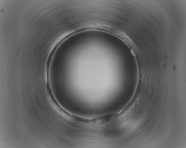X0000062861036200601131410