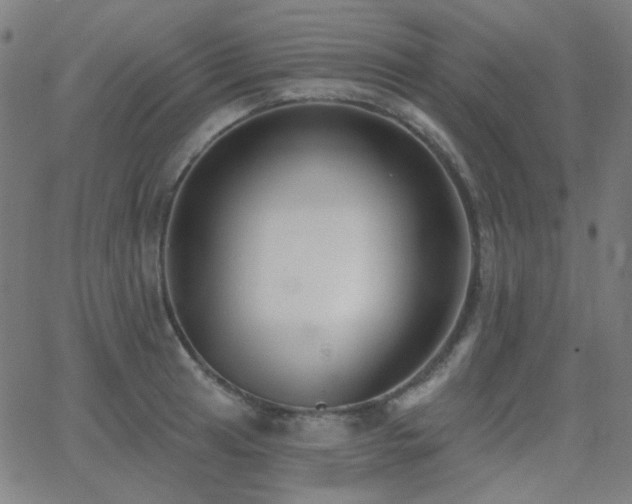 X0000062861041200601131410