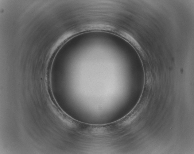 X0000062861043200601131410