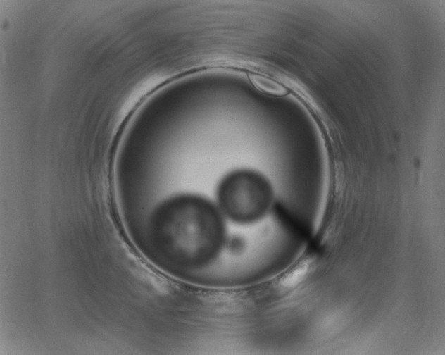 X0000062861048200601131410