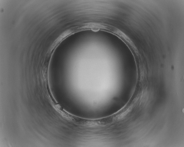 X0000062861049200601131410