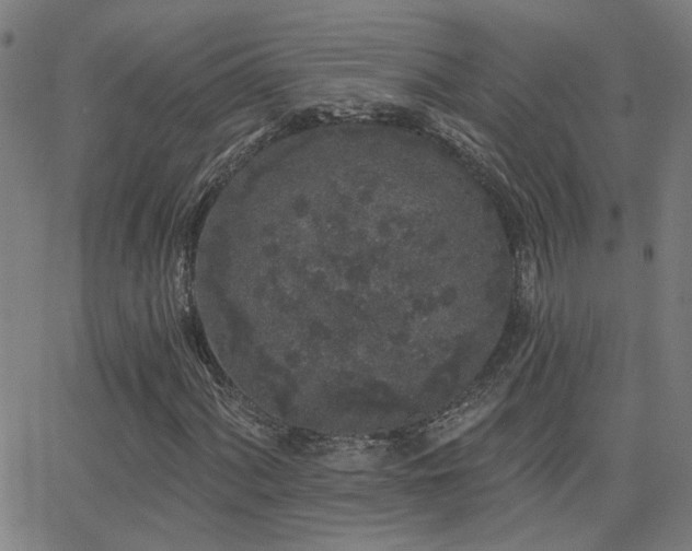 X0000062861060200601131410