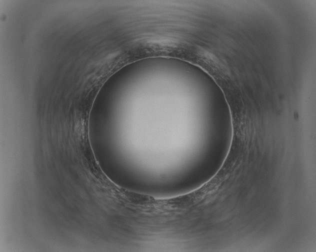 X0000062861061200601131410