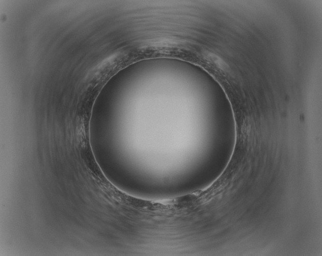 X0000062861062200601131410