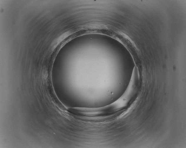 X0000062861065200601131409