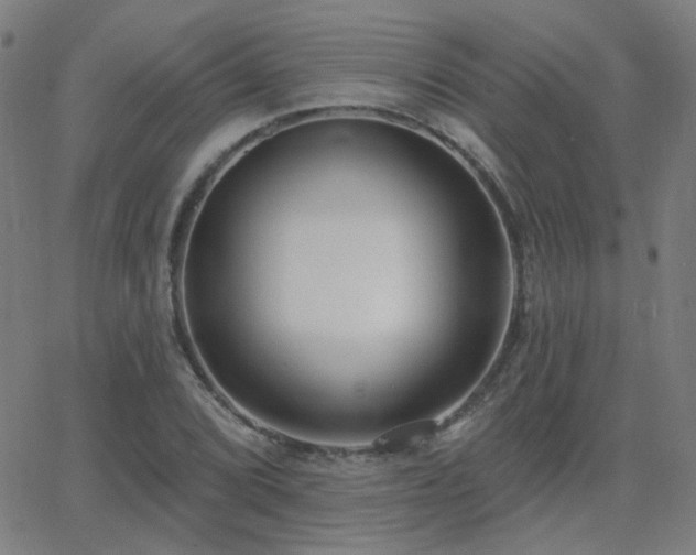 X0000062861072200601131409