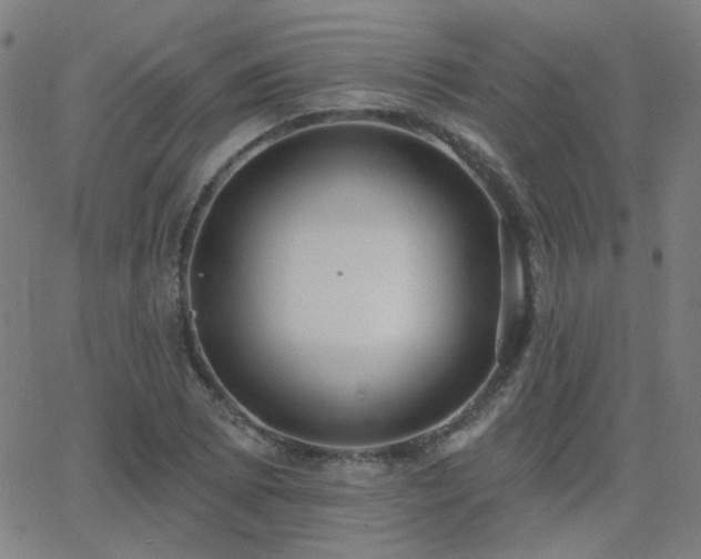 X0000062861073200601131409