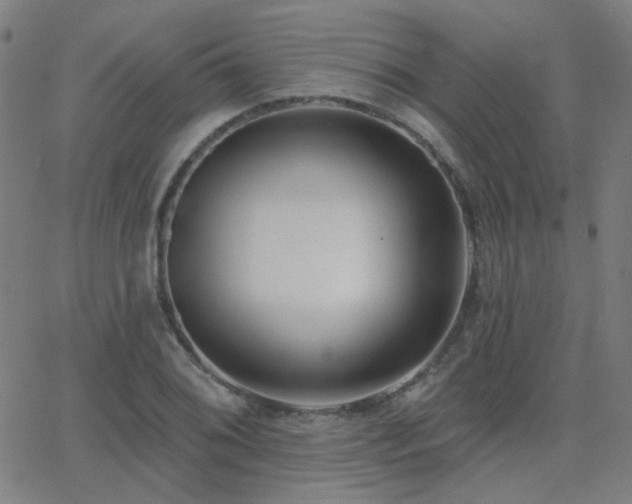 X0000062861076200601131409