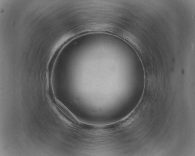 X0000062861079200601131409