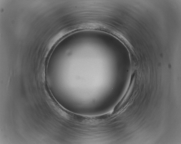 X0000062861083200601131409
