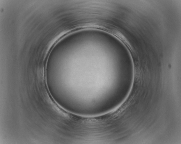 X0000062861092200601131409