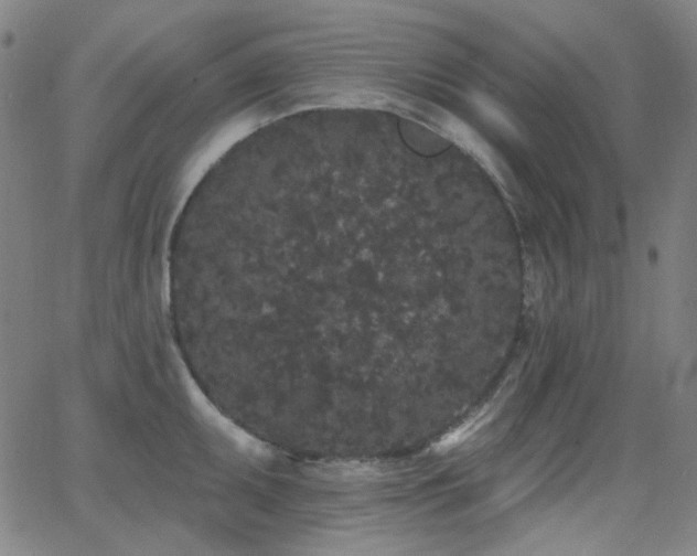 X0000062861095200601131409