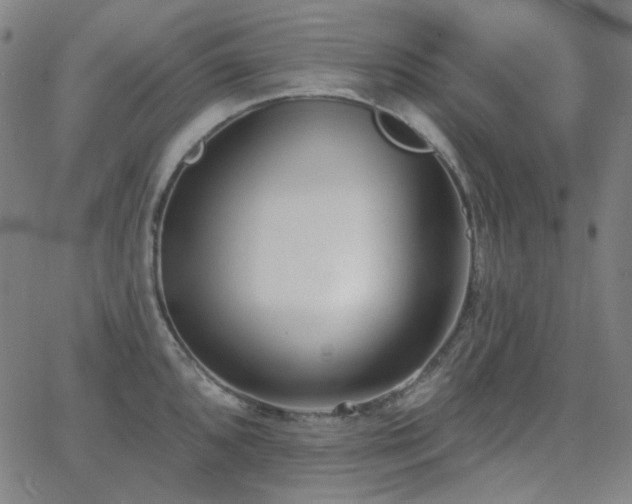X0000062861096200601131409
