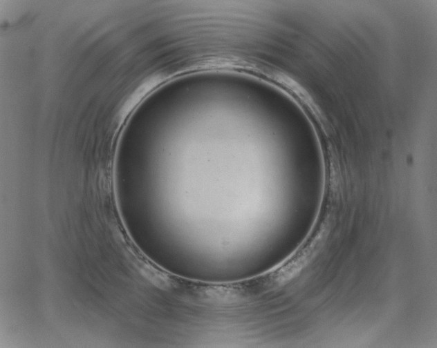 X0000062861097200601131409