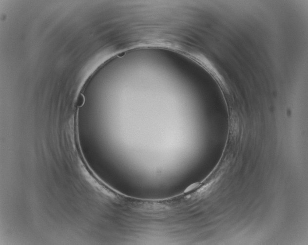 X0000062861100200601131409