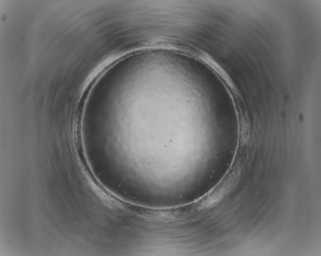 X0000062861101200601131409