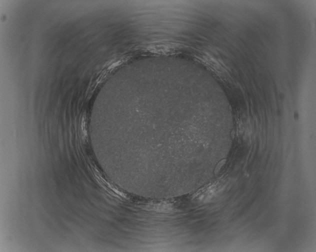 X0000062861106200601131408