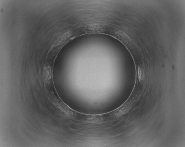 X0000062861107200601131408