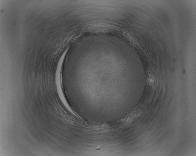 X0000062861108200601131408