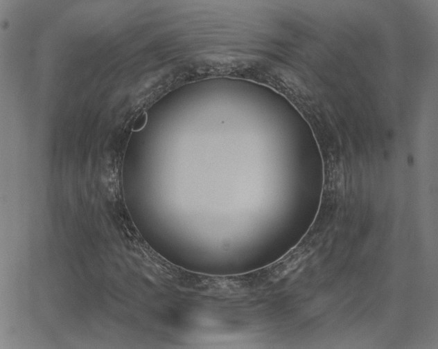 X0000062861109200601131408
