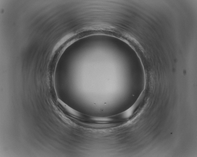 X0000062861114200601131408