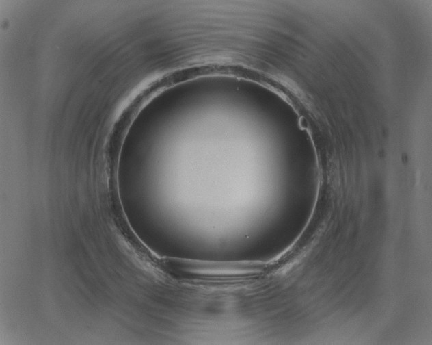 X0000062861118200601131408