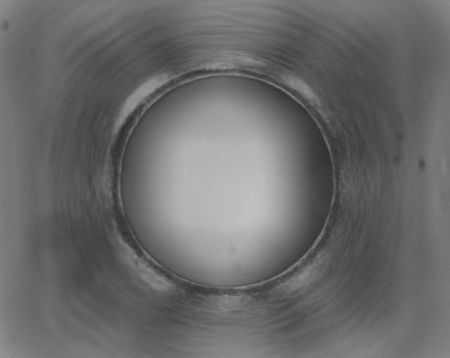X0000062861122200601131408