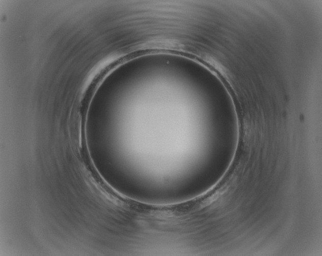 X0000062861123200601131408