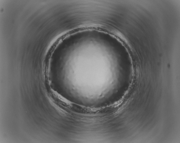 X0000062861124200601131408