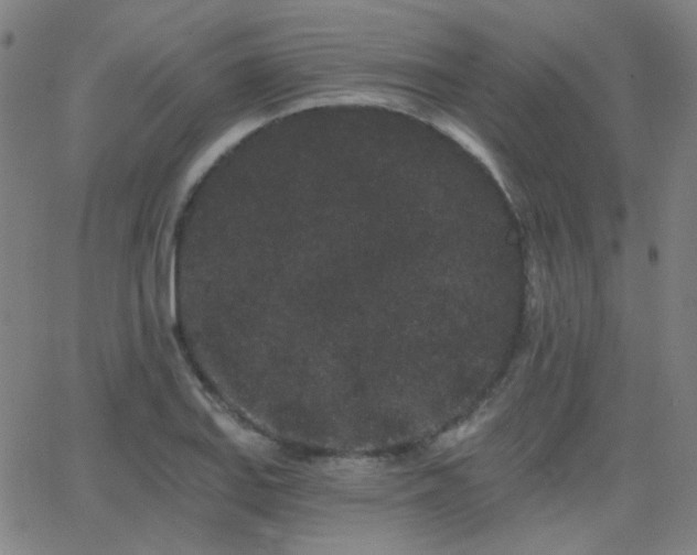 X0000062861127200601131408