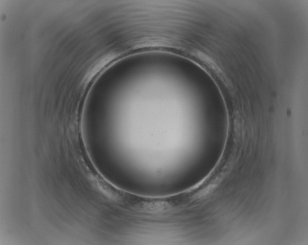 X0000062861129200601131408
