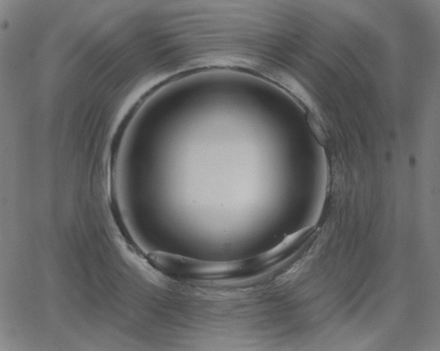 X0000062861132200601131409
