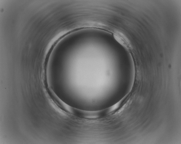 X0000062861136200601131409