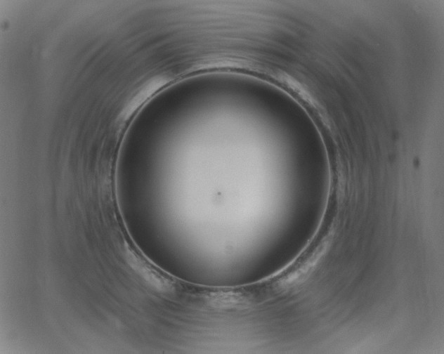 X0000062861137200601131409