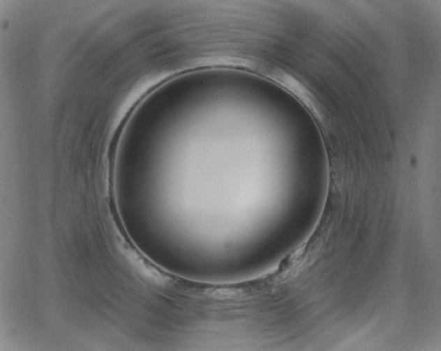 X0000062861140200601131409