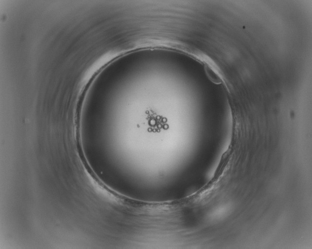 X0000062861143200601131409