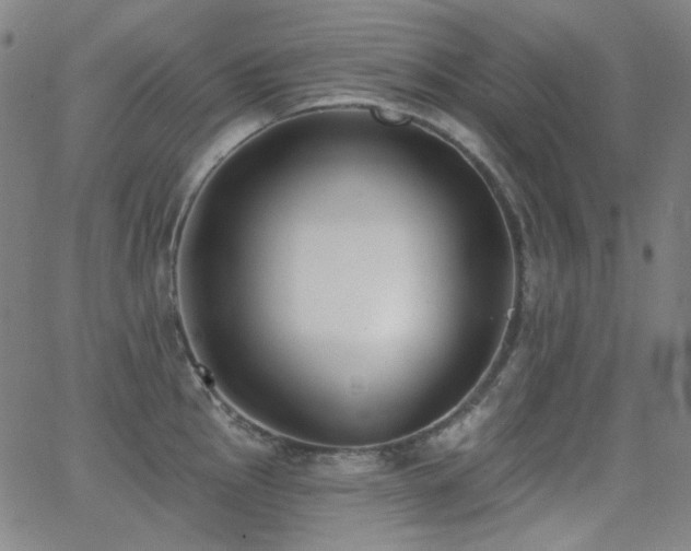 X0000062861145200601131409