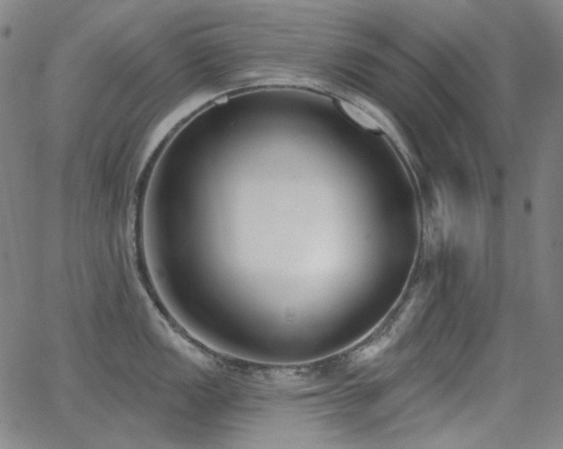 X0000062861149200601131409