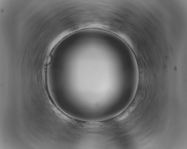 X0000062861151200601131409