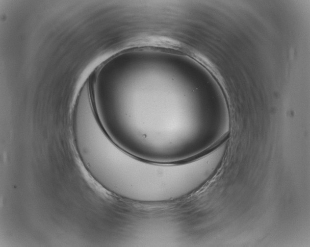 X0000062861152200601131409