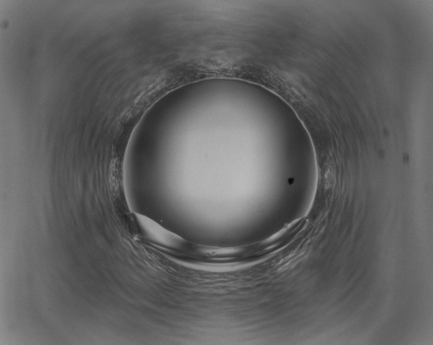 X0000062861156200601131408